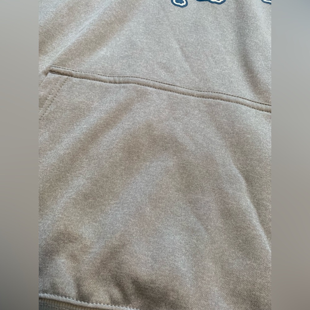 NFL Detroit Lions Silver women’s Hoodie sz L NWT - Picture 4 of 10